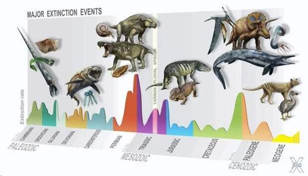 Новое открытие: Земля вымирала и до динозавров