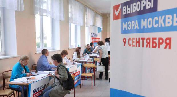 Горбунов: Явка на выборы в Москве на уровне 2013 года. Фото: mos.ru