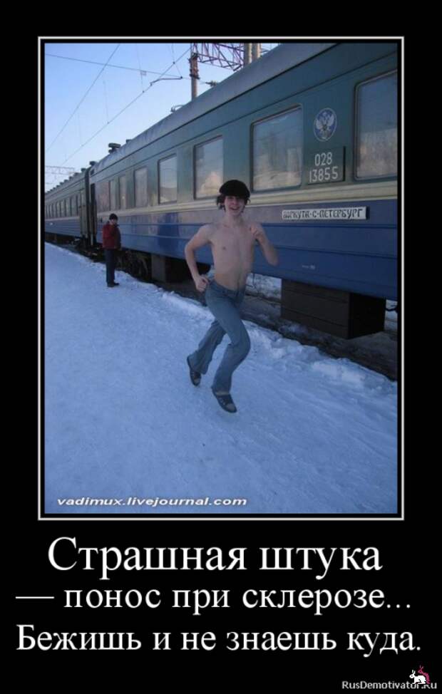 Блоги.  -  