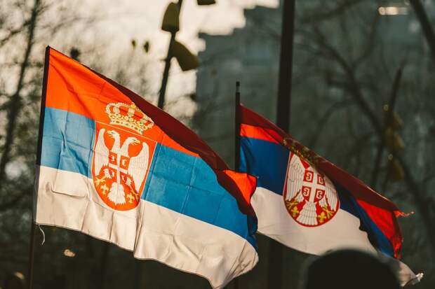 Сербский сенатор Вулин: Кто не любит Россию, не является другом Сербии