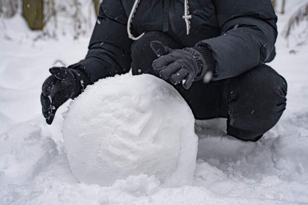 В России заметили исчезновение «членовиков»