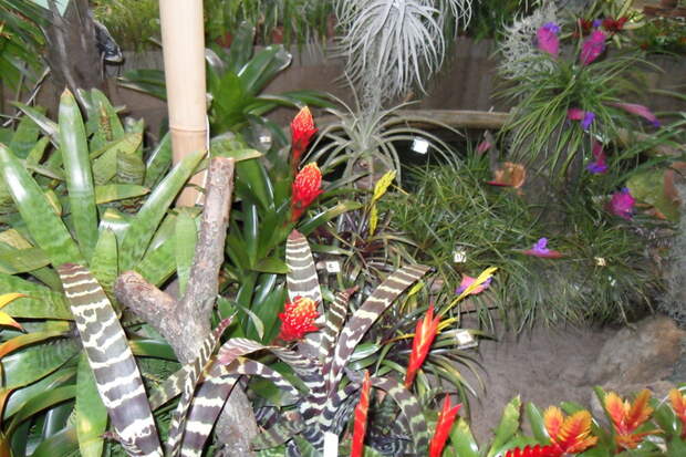 SDC11831 (700x466, 281Kb)