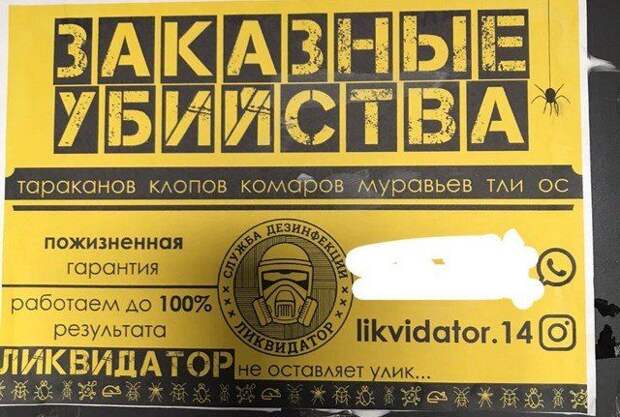 1598504960_1.jpg