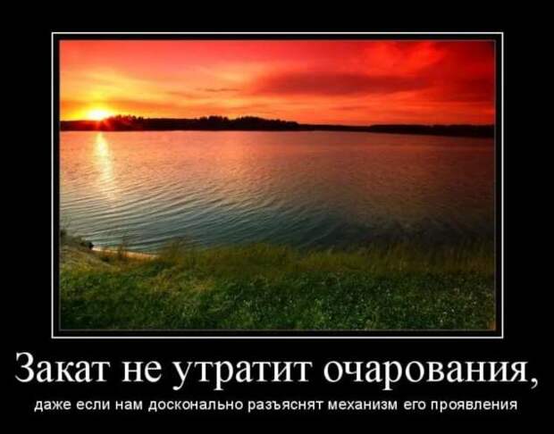 Прикольные демотиваторы с надписями. Подборка chert-poberi-dem-chert-poberi-dem-39290614122020-6 картинка chert-poberi-dem-39290614122020-6