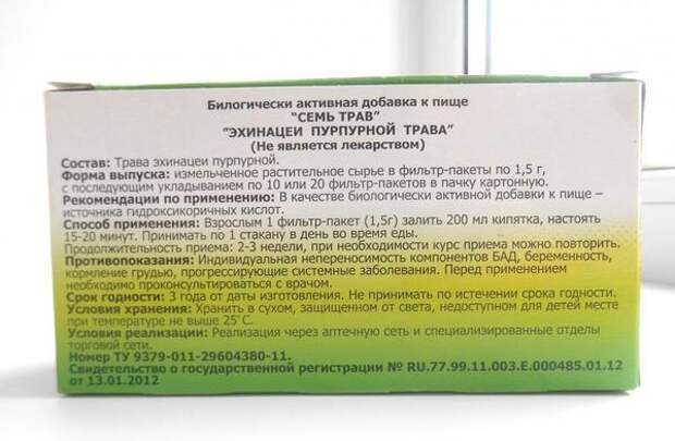 Эхинацея пурпурная - источник гидроксикоричных кислот. Фото с сайта irecommend.ru