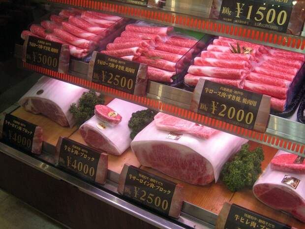 10 причин, почему я ненавижу Японию