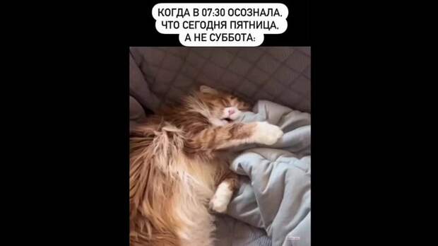 Video: Видео от Донецкая группа новостей|Донецк.ДНР