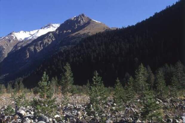 В Сочи появятся четыре новые особо охраняемые природные территории