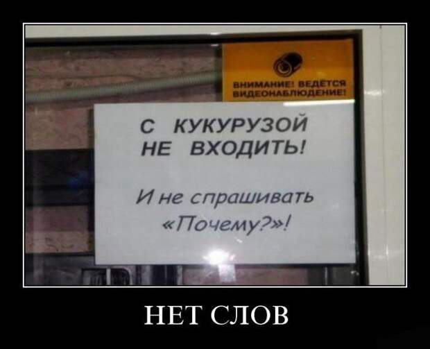 Подборка смешных демотиваторов для улыбки (12 фото) Подборка смешных демотиваторов для улыбки (12 фото)