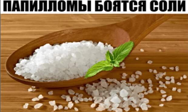 MQGPZBY9