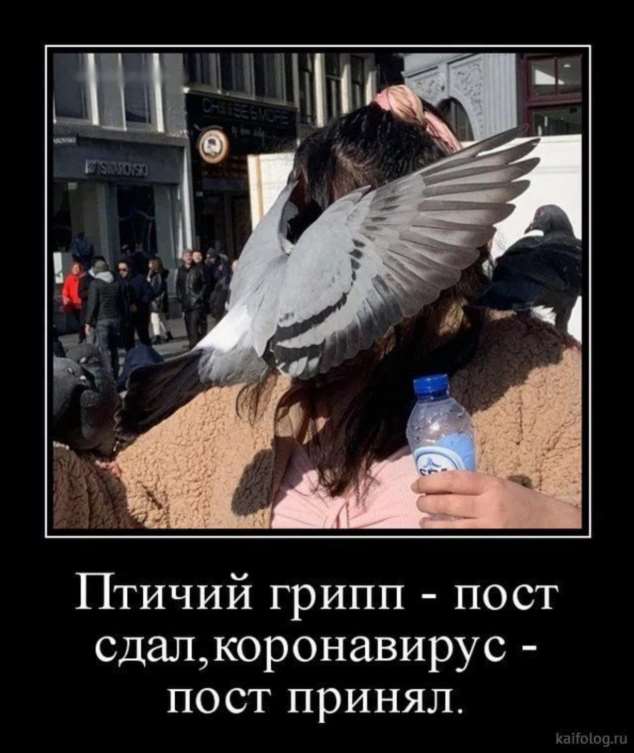 Демотиваторы про коронавирус с надписями. Подборка chert-poberi-dem-chert-poberi-dem-59010424052020-7 картинка chert-poberi-dem-59010424052020-7