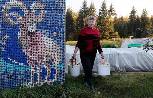 Российская пенсионерка украсила свой дом необычным способом (6 фото)