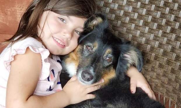 11-летняя девочка с редким видом рака показала пса Санни на шоу собак в Вестминстере