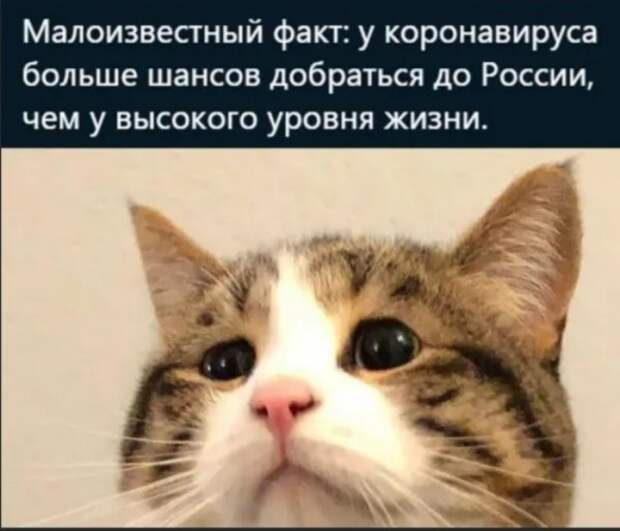 Юмор на любителя Юмор на любителя