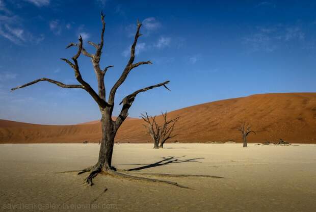 Sossusvlei21 Африка. Намибия. Пустыня Намиб   Соссусфлей