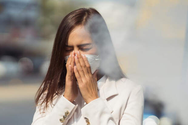Ошибка системы: какие аллергены чаще всего портят нам жизнь