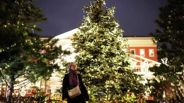 Синоптик Шувалов: на Рождество погода в Москве будет хорошая