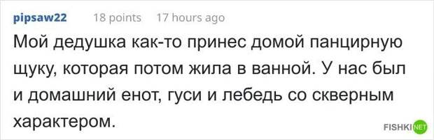 Внук поделился списком животных, которых дедушка приносил домой на протяжении 67 лет Бездомные животные, дедушка, животные, история, пожилые люди, спасение, трогательно