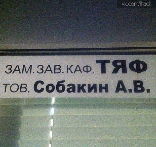 Коротко и весело