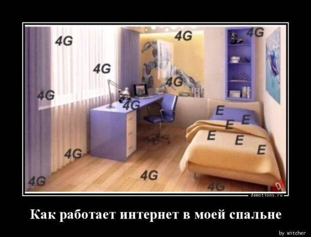 1589352288_demy-6.jpg