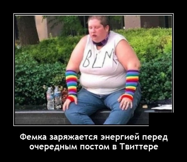 Демотиваторы 10 декабря 2021 года