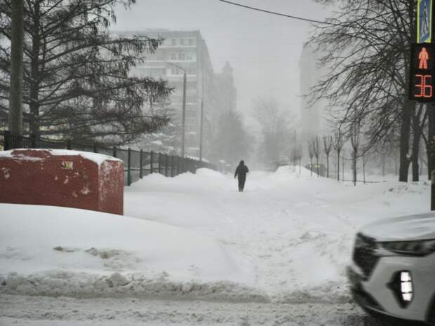 Снегопад в Тульской области: большинство жителей всё же пошли на работу