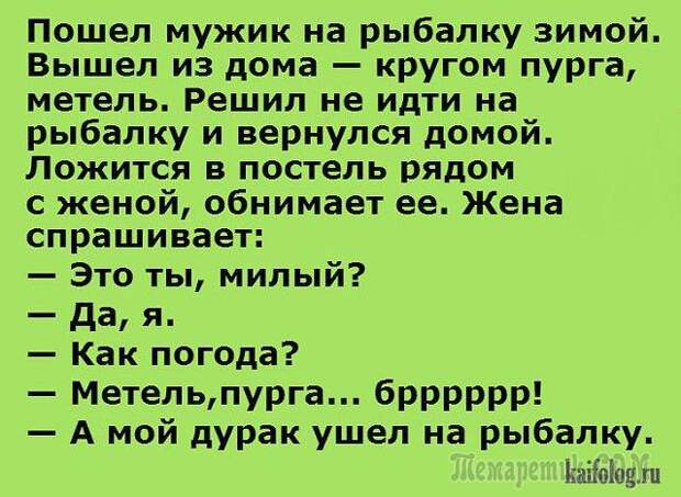 Шутки со страниц интернета