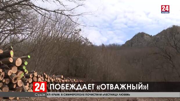 Судак лагерь отважный карта