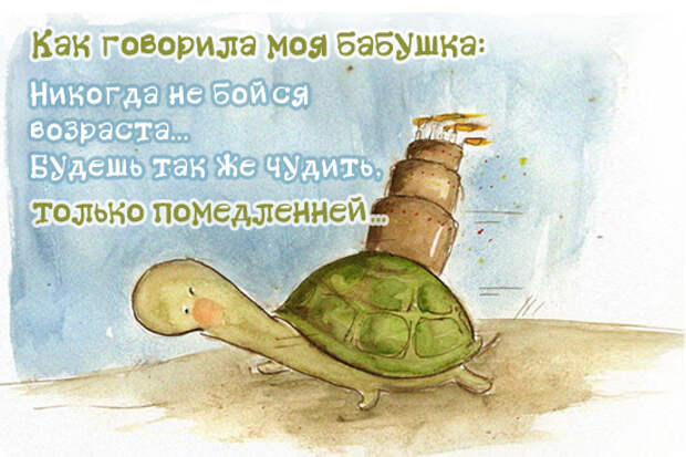 черепашка с тортом