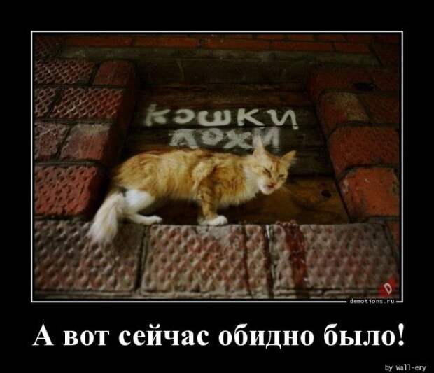 1589352293_demy-3.jpg
