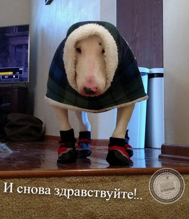 И снова здравствуйте