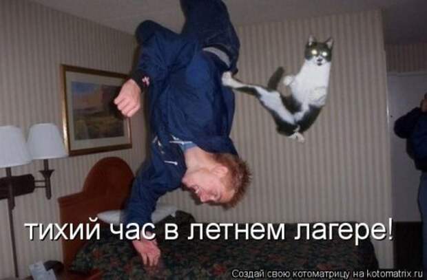Пятничная котоматрица