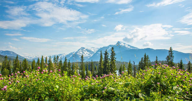 Scandinavian-Mountains