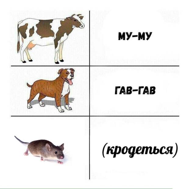 Мыш (кродеться)
