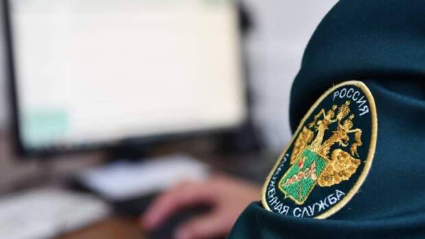 Россия более чем на четверть увеличила импорт товаров из стран дальнего зарубежья