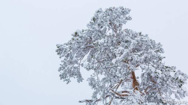Южному Уралу предстоит еще одна морозная ночь