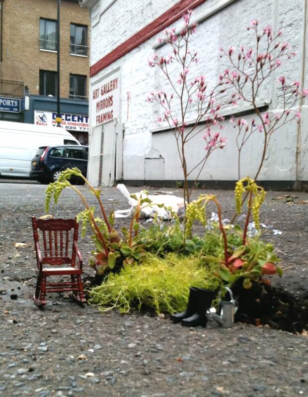 Стив вин. Guerrilla Gardening. Guerrilla Gardeners. Guerilla Gardening. Guerilla Gardening перевод.