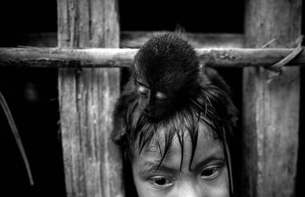 На грани исчезновения: удивительные фотографии амазонского племени Ава Амазония, бразилия, жизнь, племя, уязвимость, фото, фотомир
