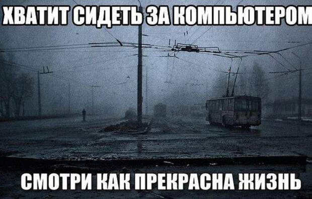 Прикольные картинки