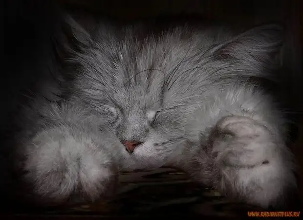 Улыбнись! :) (21повод)