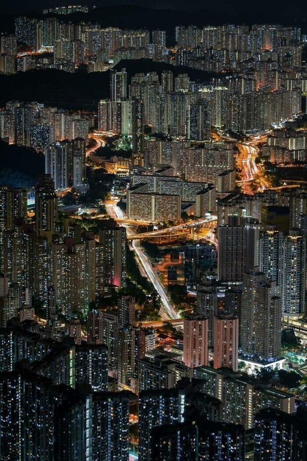 Бетонные джунгли Бетонные джунгли
