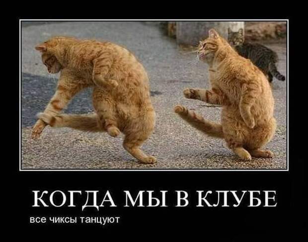 Всяко - разно 19 ))) Всяко - разно 19 )))