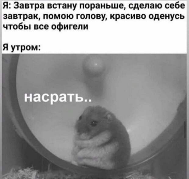 Лучшие мемы, истории и картинки из Сети