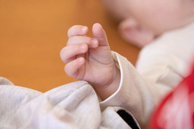 Михаил и София стали самыми популярными именами у новорожденных туляков в 2025 году