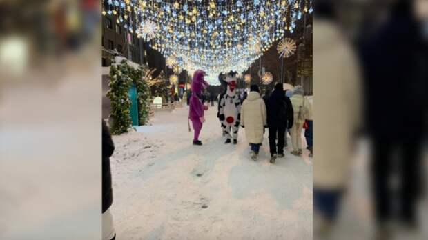 В новогодние праздники на улицах Новосибирска работали аниматоры-аферисты