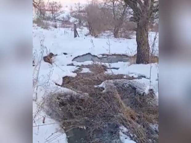 Экологическая обстановка Красного Чикоя под угрозой