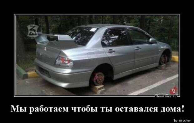 1589352315_demy-17.jpg
