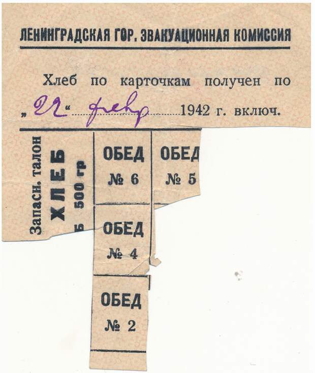 Ленинград, 1942 год. «Используйте для питания прибрежную и водную растительность»