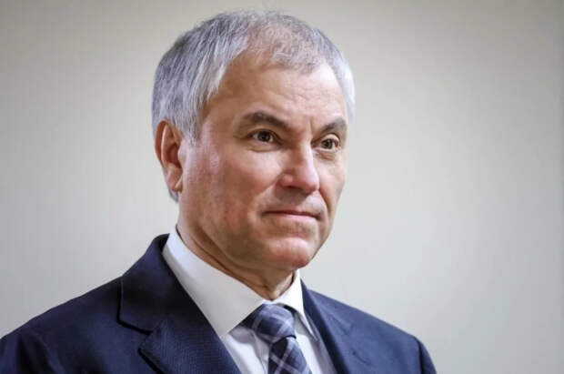 Володин: в закрытых в селах школах можно размещать детские лагеря отдыха