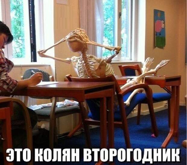 Картинки со смешными подписями
